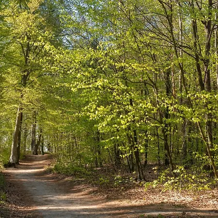 Apartamento 1b Niebieskie Z Basenem Krytym, Odkrytym, Sala Zabaw, Animacjami