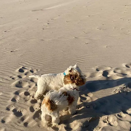 1b Niebieskie Z Basenem Krytym, Odkrytym, Sala Zabaw, Animacjami דירה *